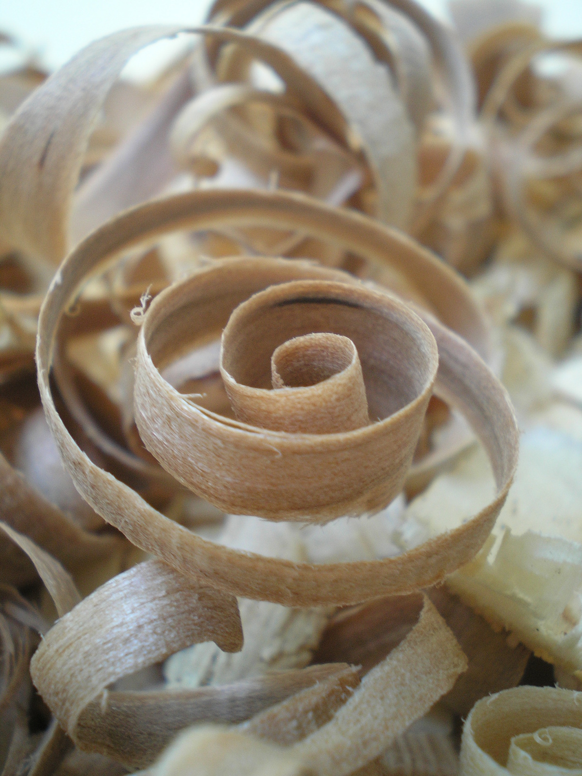 Wood shavings